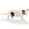Sleeping Orange Cat Figurine Cute Mini Cat Decor For Cozy Spaces 7