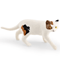 Sleeping Orange Cat Figurine Cute Mini Cat Decor For Cozy Spaces 7
