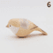 HandCarved Wooden Bird Figurine Cute Mini Wood Carving Decor Gift 14