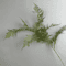 Luxury Artificial Pine Branch Realistic Greenery Decor For Home Events 5