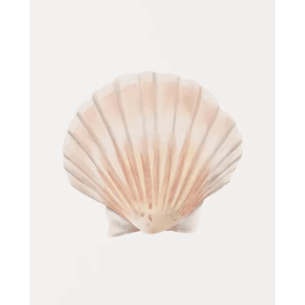 Watercolor Coastal Wall Art Set Sea Shell Starfish Prints For Modern Home Decor 2