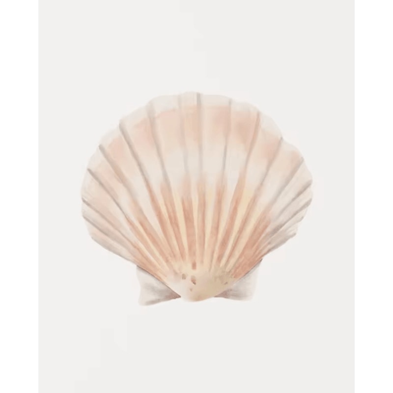 Watercolor Coastal Wall Art Set Sea Shell Starfish Prints For Modern Home Decor 2