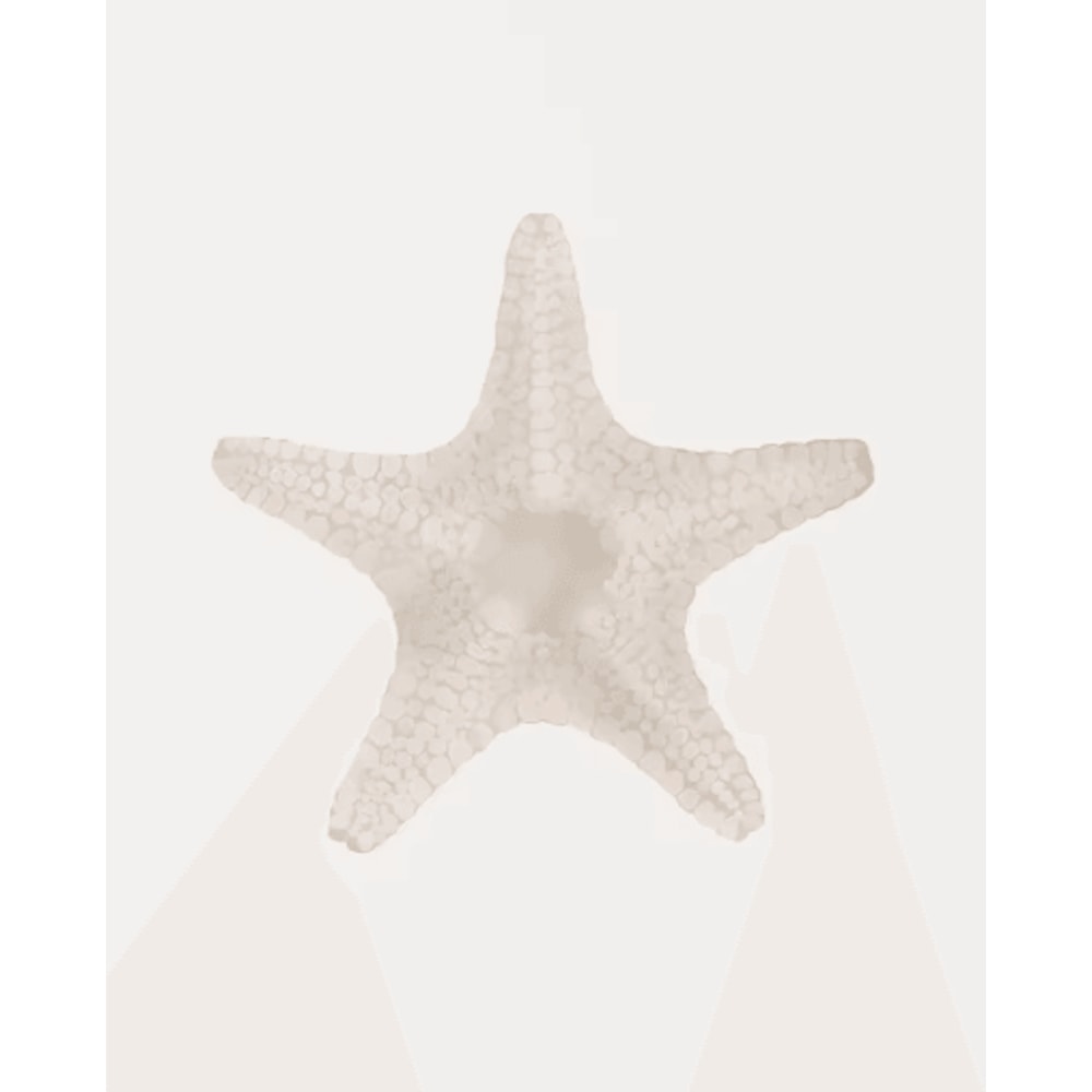 Watercolor Coastal Wall Art Set Sea Shell Starfish Prints For Modern Home Decor 3