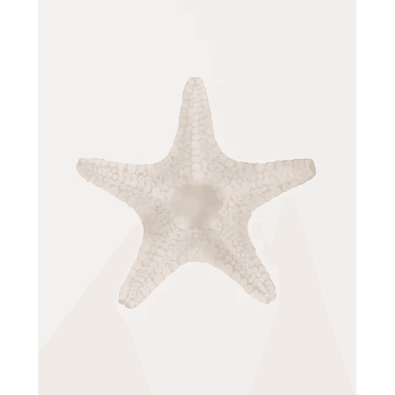 Watercolor Coastal Wall Art Set Sea Shell Starfish Prints For Modern Home Decor 3