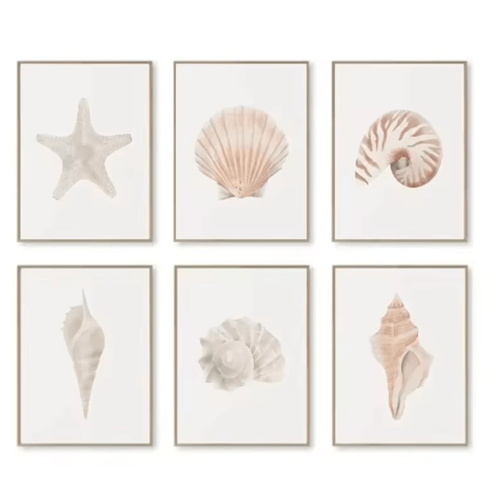 Watercolor Coastal Wall Art Set Sea Shell Starfish Prints For Modern Home Decor 4