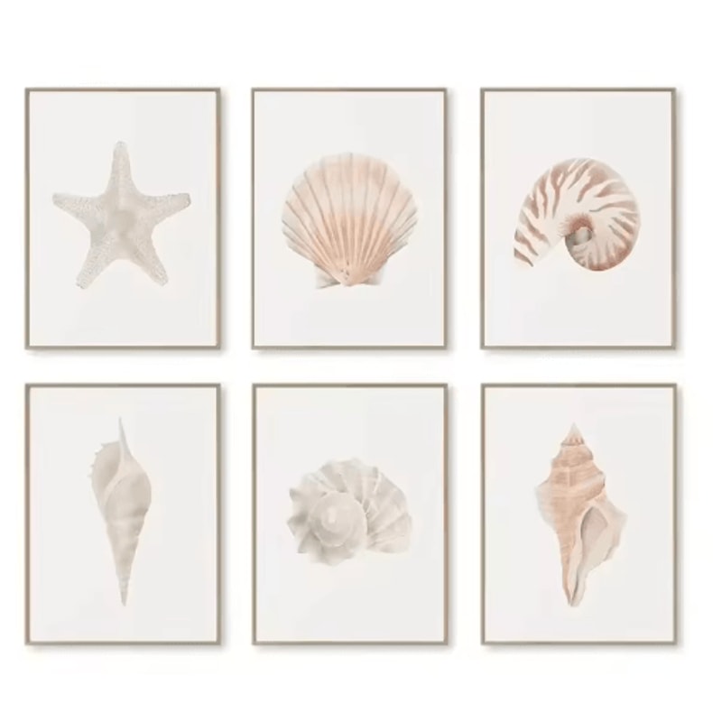 Watercolor Coastal Wall Art Set Sea Shell Starfish Prints For Modern Home Decor 4
