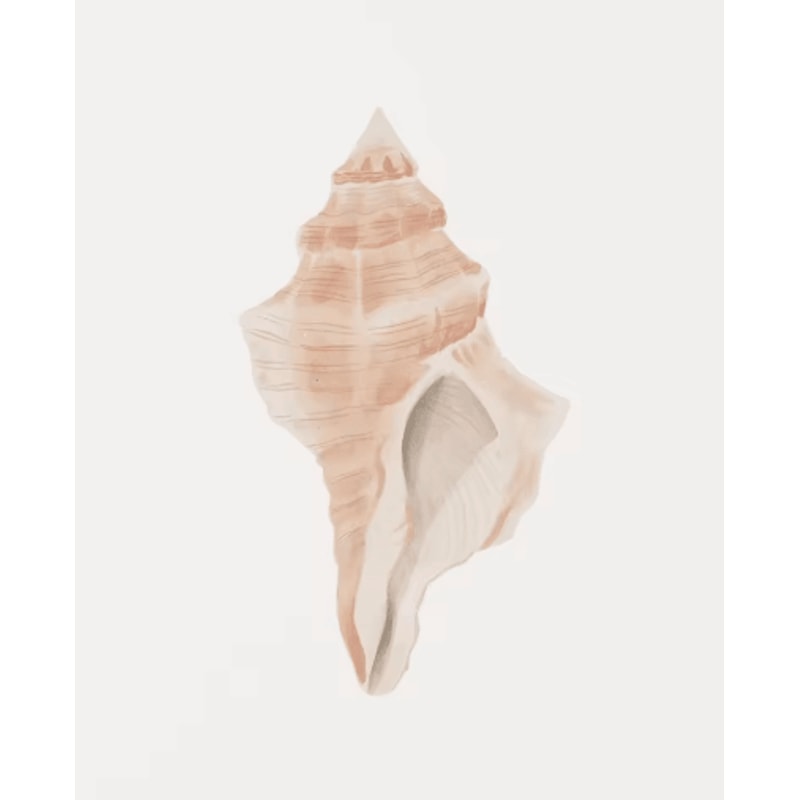 Watercolor Coastal Wall Art Set Sea Shell Starfish Prints For Modern Home Decor 5