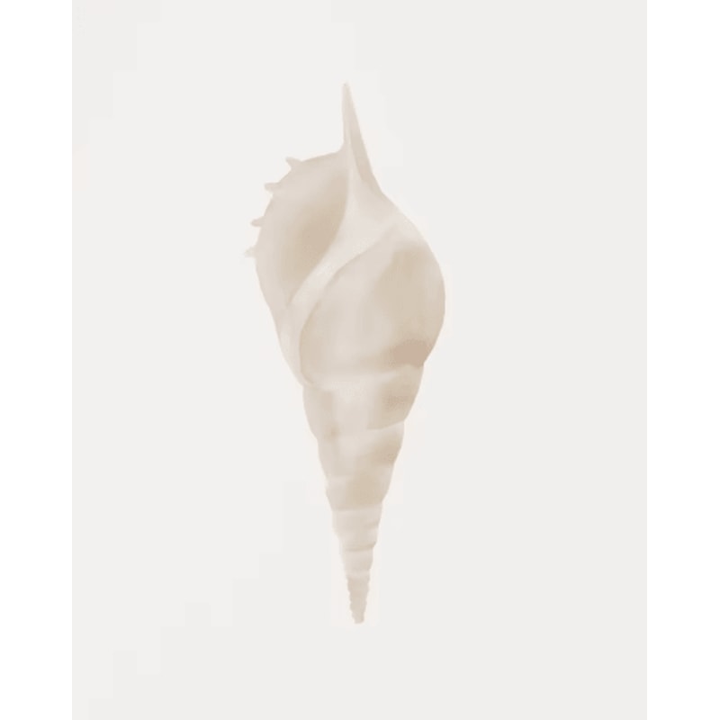 Watercolor Coastal Wall Art Set Sea Shell Starfish Prints For Modern Home Decor 6