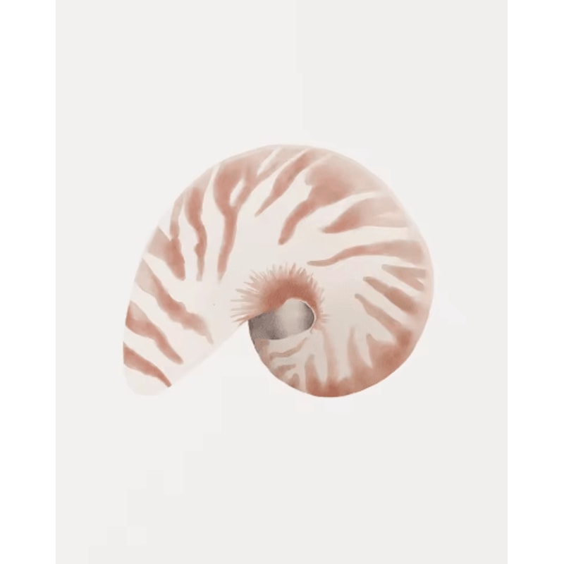 Watercolor Coastal Wall Art Set Sea Shell Starfish Prints For Modern Home Decor 7