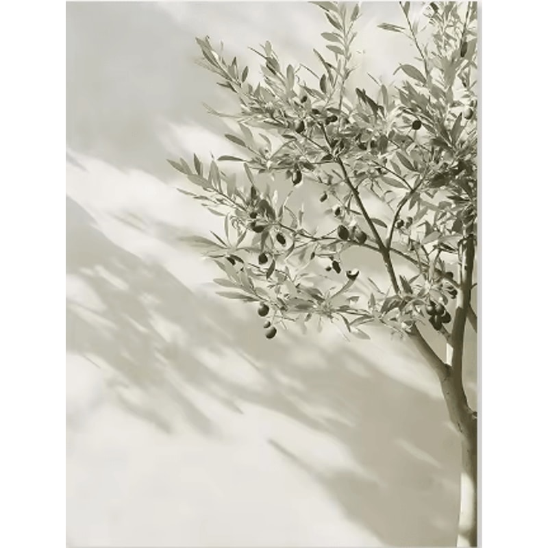 Mediterranean Olive Tree Wall Art Countryside Landscape Poster For Farmhouse Decor 2