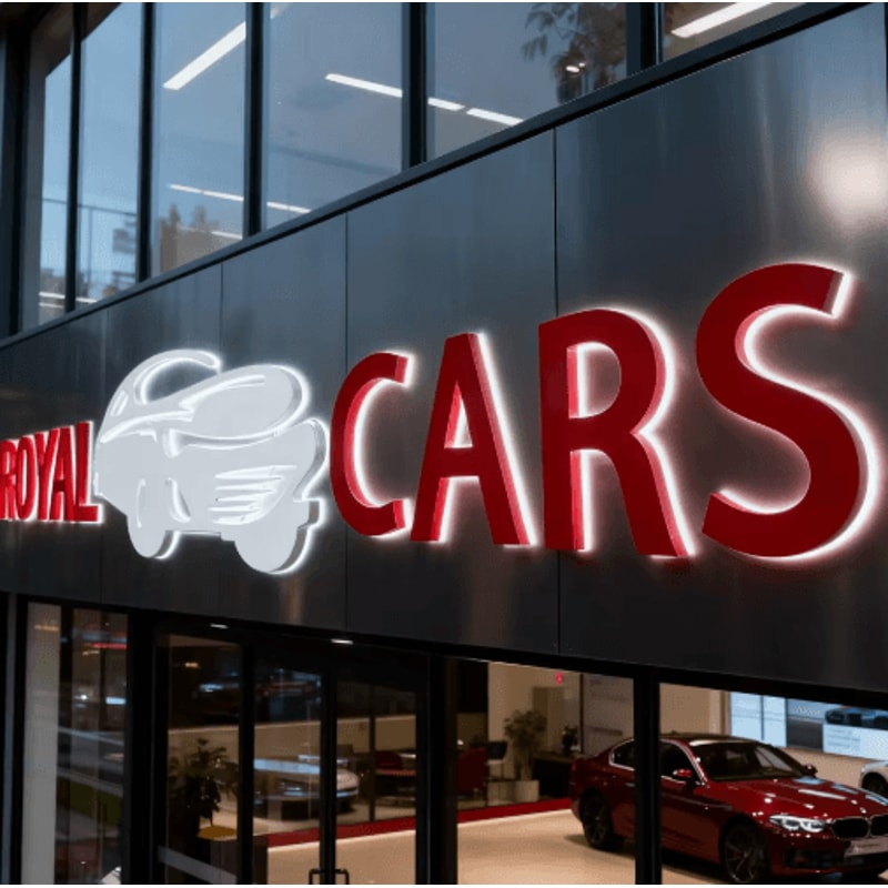 3D Backlit LED Channel Letters Custom Illuminated Business Logo Signage 4
