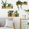 Botanical Plant Wall Sticker Set Potted Greenery Decal For Modern Home Decor 5