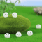 Glowing Dust Elf Miniature Figurines Set Kawaii Micro Landscape Room Decor 3