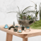 Miniature Fairy Garden Accessories Set Lighthouse Bridge Cottage Landscape Decor 16