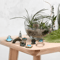 Miniature Fairy Garden Accessories Set Lighthouse Bridge Cottage Landscape Decor 16
