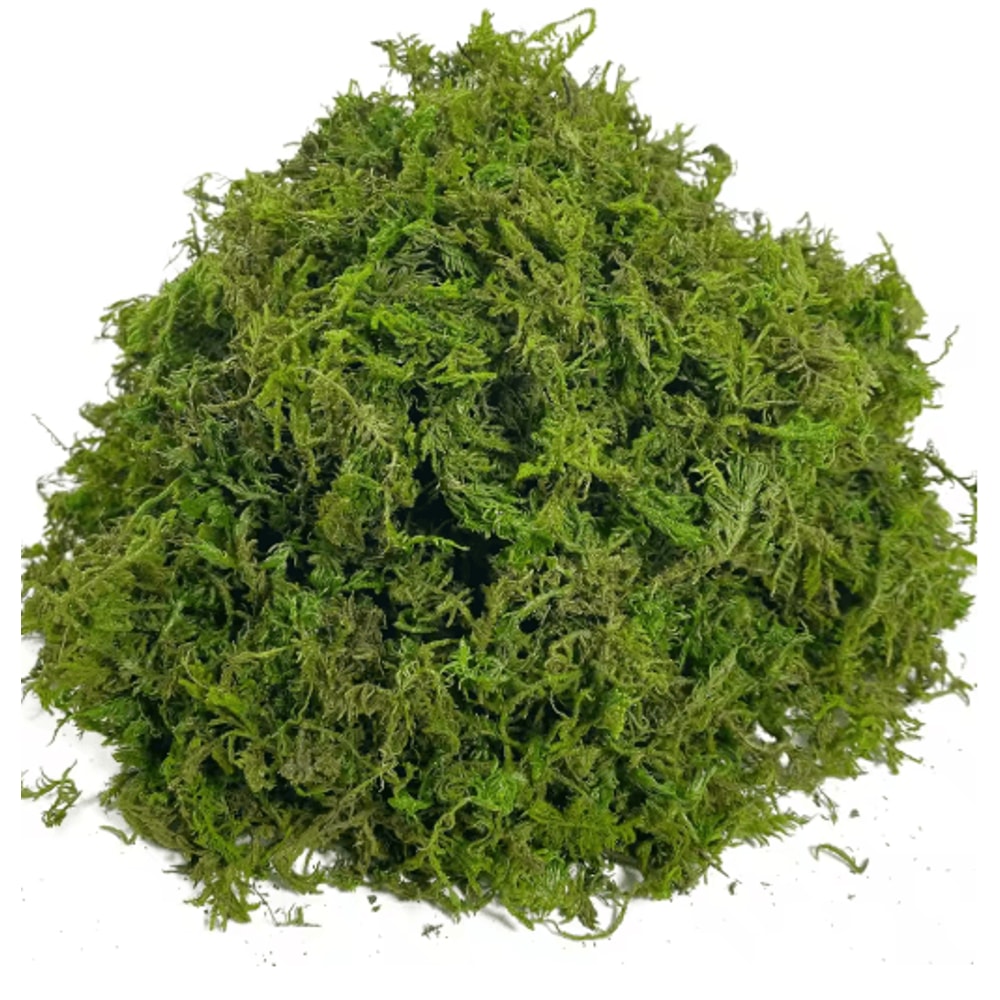 Artificial Craft Moss Realistic Fake Moss For Plant Decor DIY Centerpieces 1