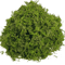 Artificial Craft Moss Realistic Fake Moss For Plant Decor DIY Centerpieces 1