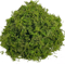 Artificial Craft Moss Realistic Fake Moss For Plant Decor DIY Centerpieces 1