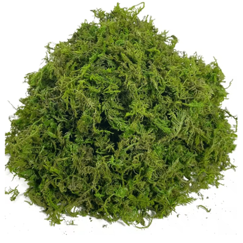 Artificial Craft Moss Realistic Fake Moss For Plant Decor DIY Centerpieces 1