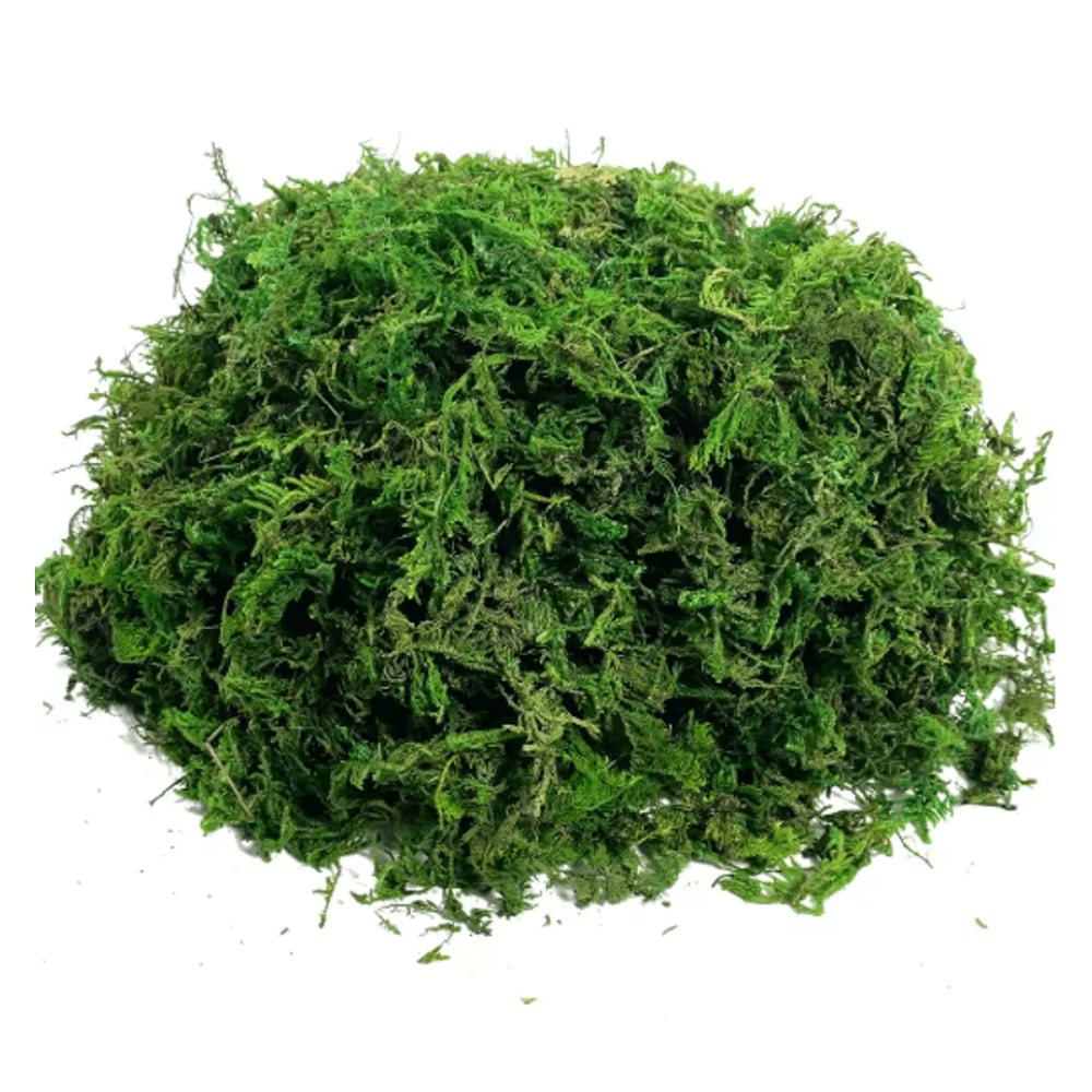 Artificial Craft Moss Realistic Fake Moss For Plant Decor DIY Centerpieces 2