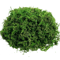 Artificial Craft Moss Realistic Fake Moss For Plant Decor DIY Centerpieces 2
