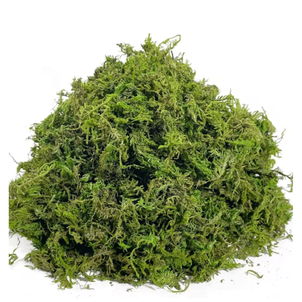 Artificial Craft Moss Realistic Fake Moss For Plant Decor DIY Centerpieces 3