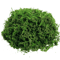 Artificial Craft Moss Realistic Fake Moss For Plant Decor DIY Centerpieces 4