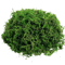 Artificial Craft Moss Realistic Fake Moss For Plant Decor DIY Centerpieces 4