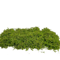 Artificial Craft Moss Realistic Fake Moss For Plant Decor DIY Centerpieces 5
