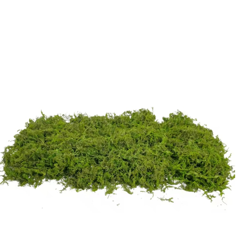 Artificial Craft Moss Realistic Fake Moss For Plant Decor DIY Centerpieces 5