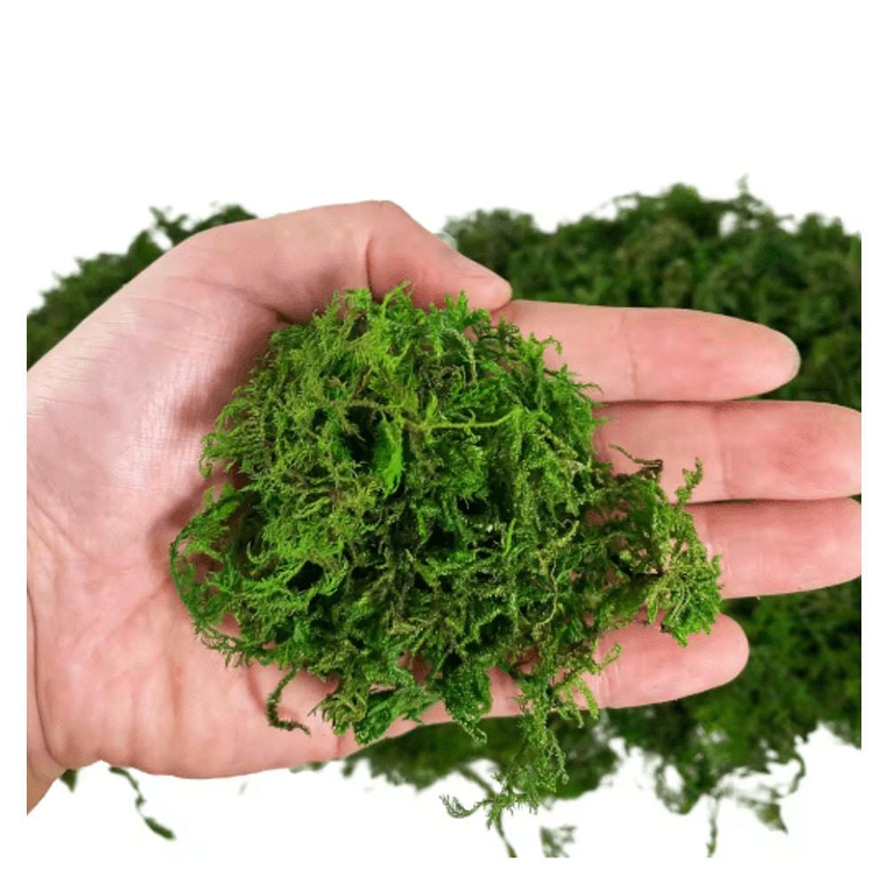 Artificial Craft Moss Realistic Fake Moss For Plant Decor DIY Centerpieces 6