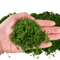 Artificial Craft Moss Realistic Fake Moss For Plant Decor DIY Centerpieces 6