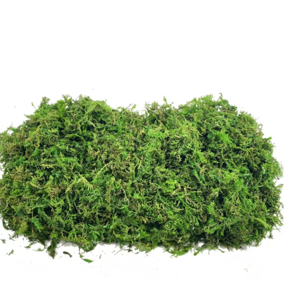 Artificial Craft Moss Realistic Fake Moss For Plant Decor DIY Centerpieces 7