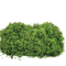 Artificial Craft Moss Realistic Fake Moss For Plant Decor DIY Centerpieces 7