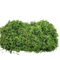 Artificial Craft Moss Realistic Fake Moss For Plant Decor DIY Centerpieces 7