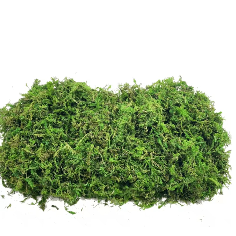 Artificial Craft Moss Realistic Fake Moss For Plant Decor DIY Centerpieces 7
