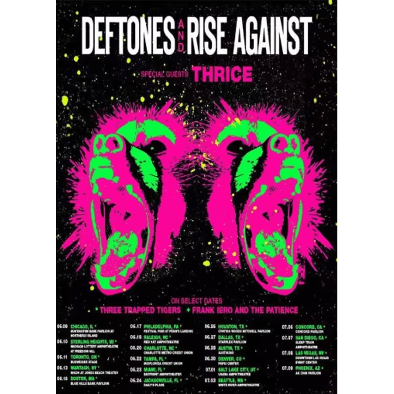 Deftones Around The Fur Album Poster Retro Rock Band Wall Art Decor 3