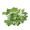 210cm LED Ivy Garland Artificial Vine Fairy Lights For Room Event Decor 6