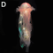 DIY Jellyfish Night Light OceanThemed Hanging Lamp For Bedroom Party Decor 2