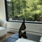 Modern Wooden Abstract Sculpture Curved Artistic Bookshelf Desk Decor 0