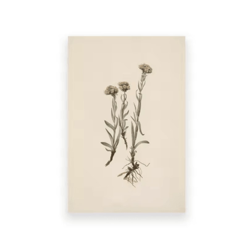 Vintage Owl Wall Art Moody Cottagecore Dark Academia Nature Canvas Print 1