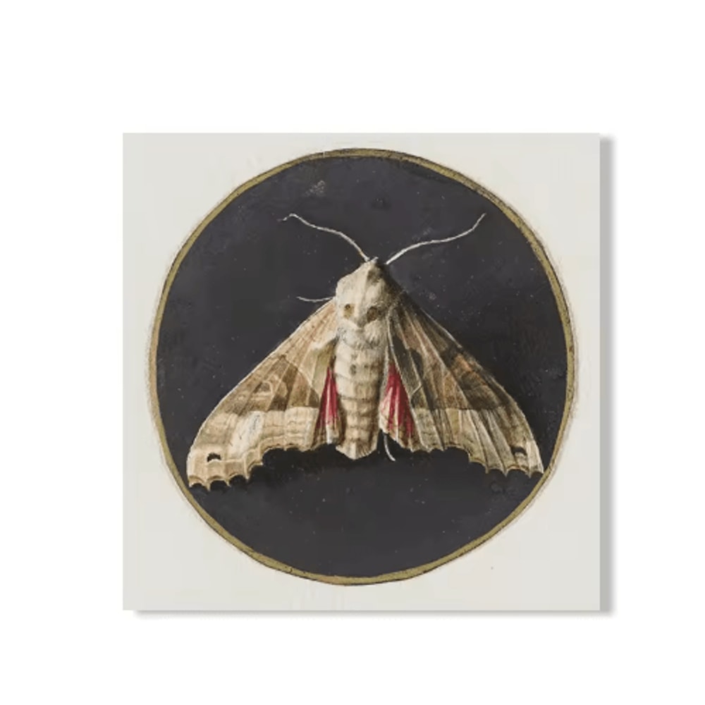 Vintage Owl Wall Art Moody Cottagecore Dark Academia Nature Canvas Print 16