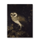 Vintage Owl Wall Art Moody Cottagecore Dark Academia Nature Canvas Print 18
