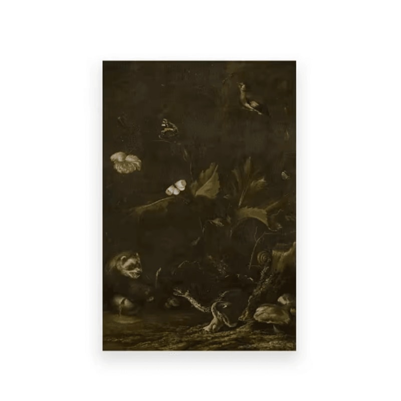 Vintage Owl Wall Art Moody Cottagecore Dark Academia Nature Canvas Print 4