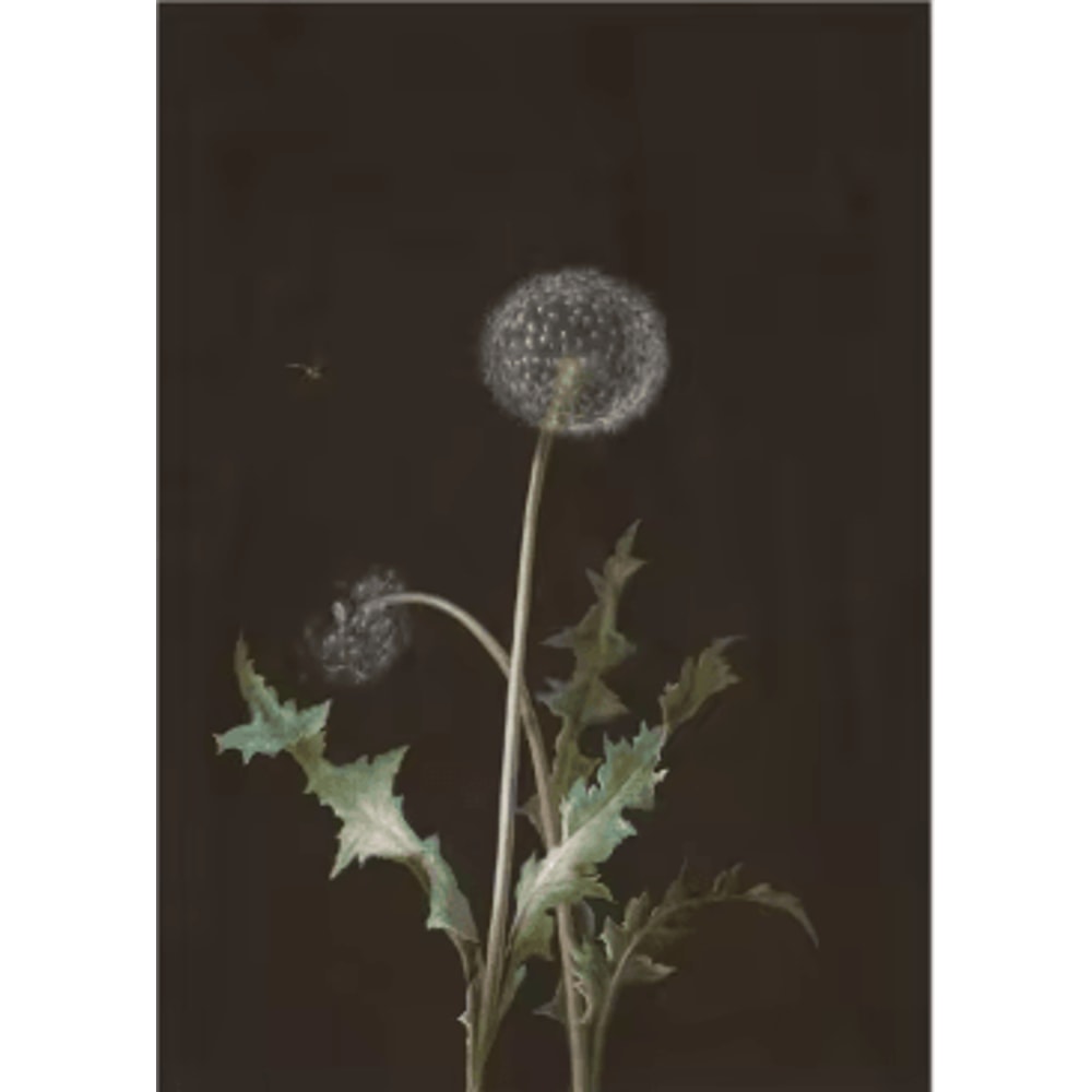 Vintage Owl Wall Art Moody Cottagecore Dark Academia Nature Canvas Print 9