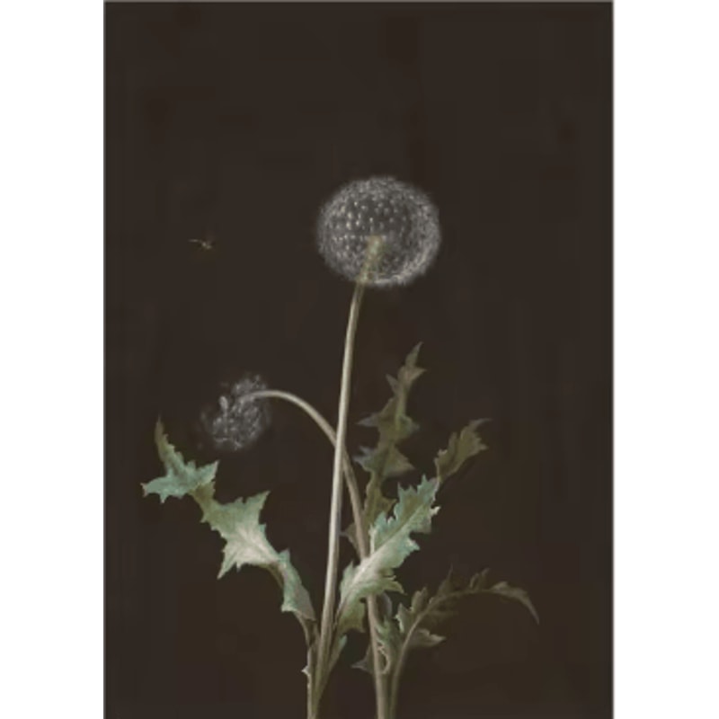 Vintage Owl Wall Art Moody Cottagecore Dark Academia Nature Canvas Print 9