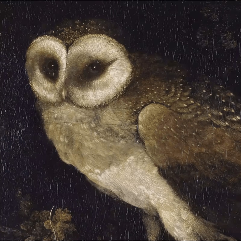 Vintage Owl Wall Art Moody Cottagecore Dark Academia Nature Canvas Print 23