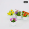 5PCS Mini Flower Pots Decor Cute Artificial Plants For Dollhouse Desk Styling 2