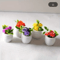 5PCS Mini Flower Pots Decor Cute Artificial Plants For Dollhouse Desk Styling 6