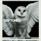 Deftones Album Cover Canvas Poster Rock Band Wall Art Decor 9